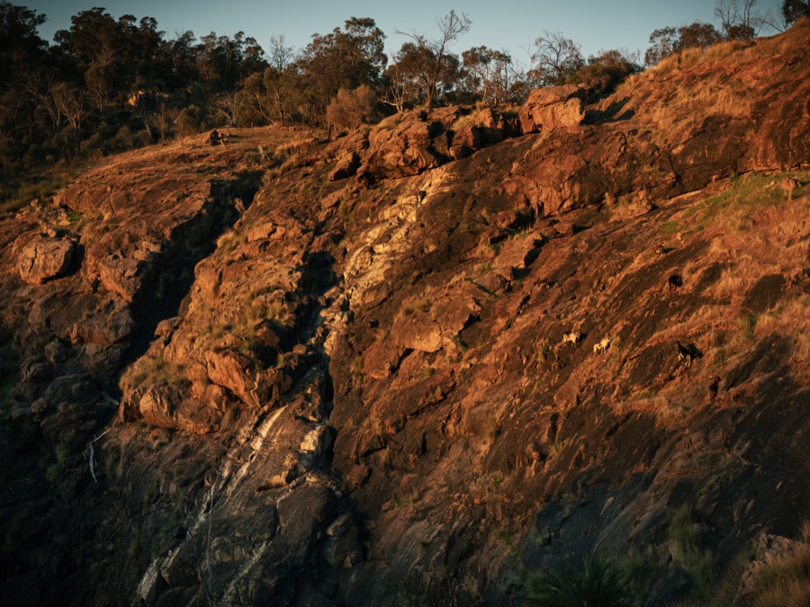 Warm late light falling across the hills near Bells Falls