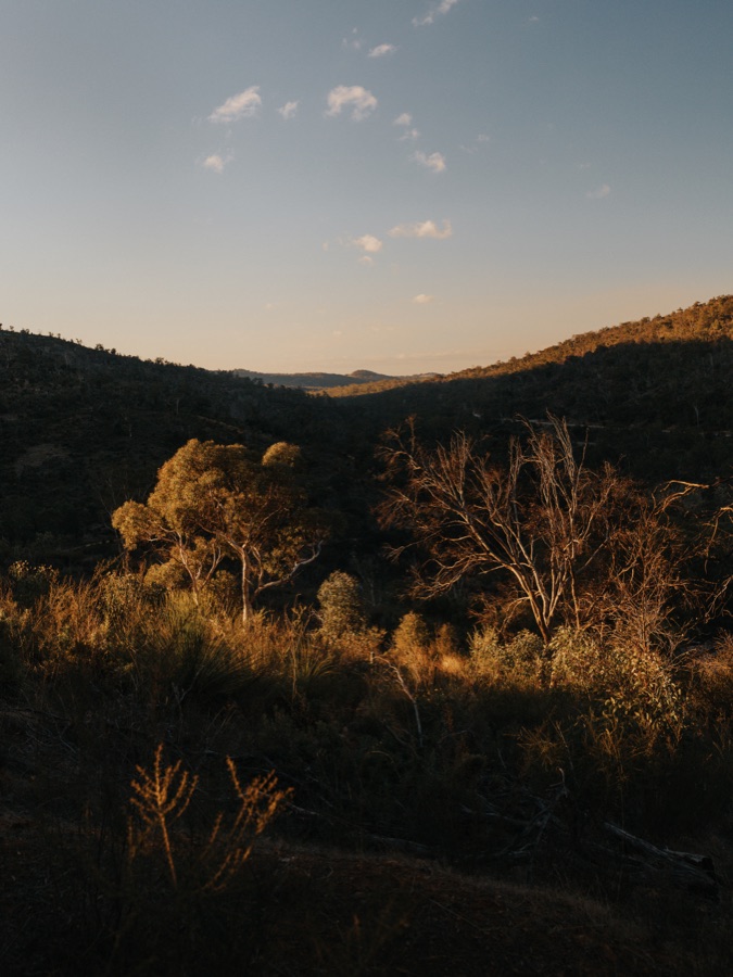 Golden bushland and rolling hills from the Bells Rapids trail